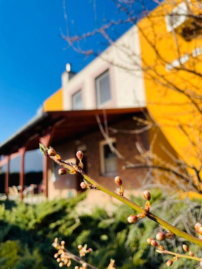 Gabi Haz Apartmanok*** Hajdúszoboszló المظهر الخارجي الصورة